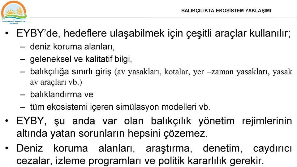 ) balıklandırma ve tüm ekosistemi içeren simülasyon modelleri vb.