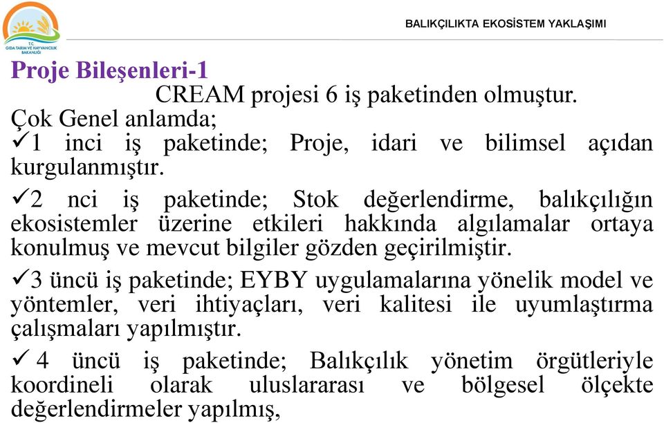 2 nci iş paketinde; Stok değerlendirme, balıkçılığın ekosistemler üzerine etkileri hakkında algılamalar ortaya konulmuş ve mevcut bilgiler gözden