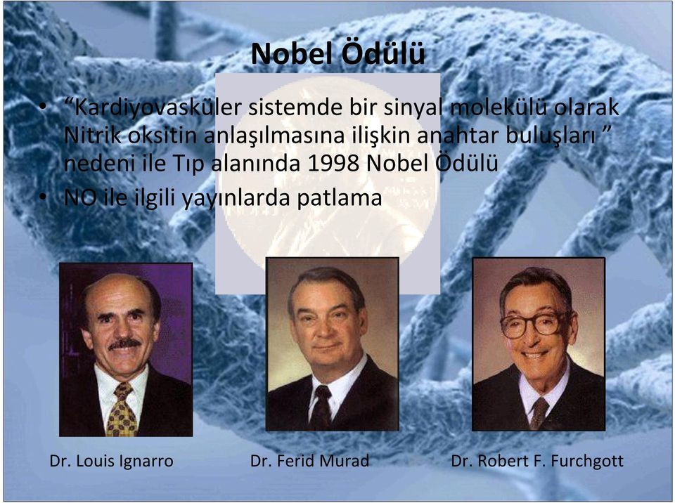 nedeni ile Tıp alanında 1998 Nobel Ödülü NO ile ilgili
