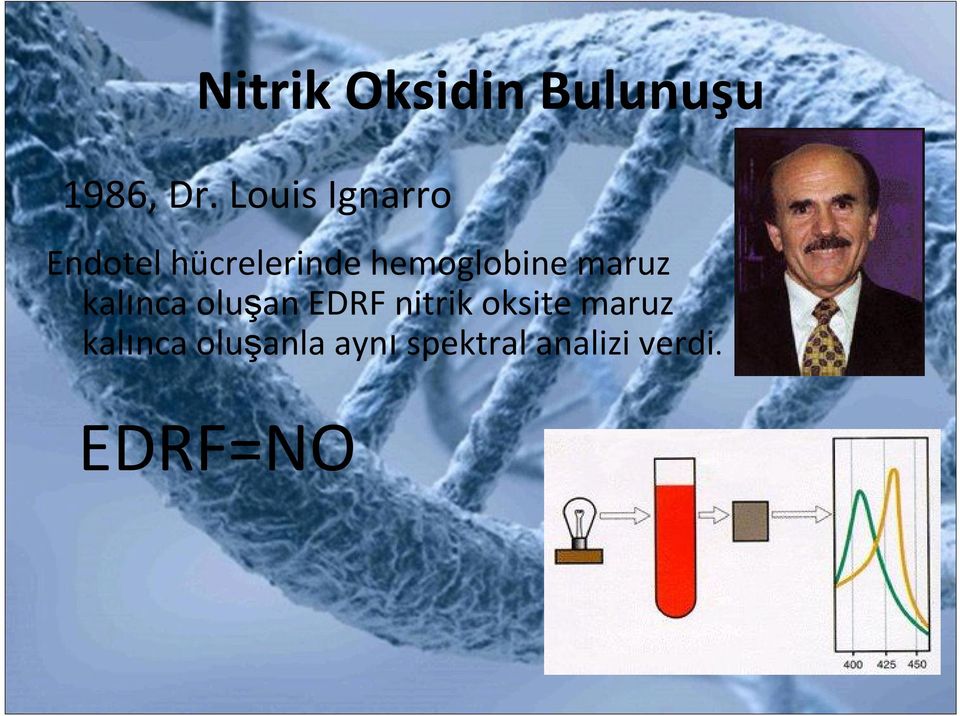 hemoglobine maruz kalınca oluşan EDRF nitrik