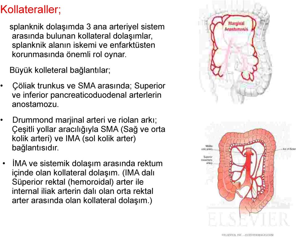 Drummond marjinal arteri ve riolan arkı; Çeşitli yollar aracılığıyla SMA (Sağ ve orta kolik arteri) ve IMA (sol kolik arter) bağlantısıdır.