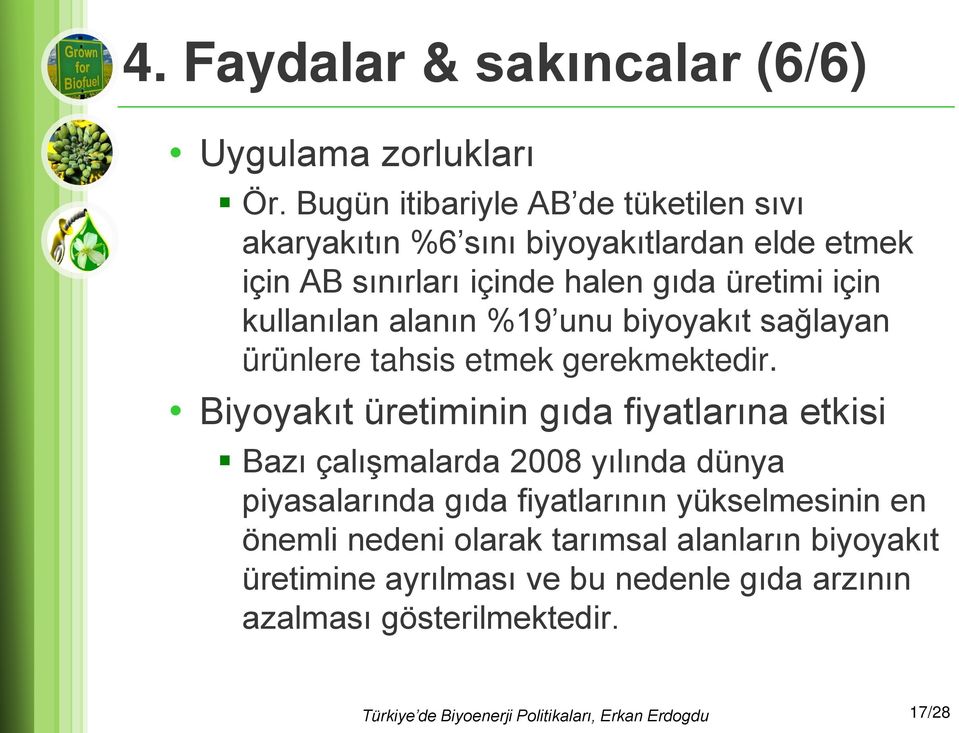 için kullanılan alanın %19 unu biyoyakıt sağlayan ürünlere tahsis etmek gerekmektedir.