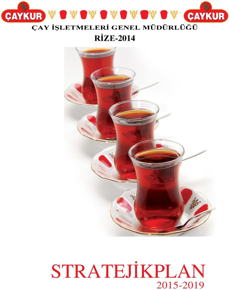 RİZE-2014