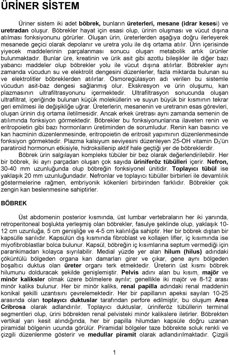 Oluşan ürin, üreterlerden aşağıya doğru ilerleyerek mesanede geçici olarak depolanır ve uretra yolu ile dış ortama atılır.