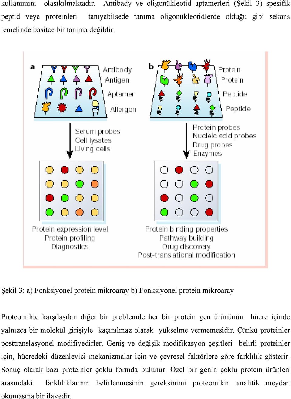 Şekil 3: a) Fonksiyonel protein mikroaray b) Fonksiyonel protein mikroaray Proteomikte karşılaşılan diğer bir problemde her bir protein gen ürününün hücre içinde yalnızca bir molekül girişiyle