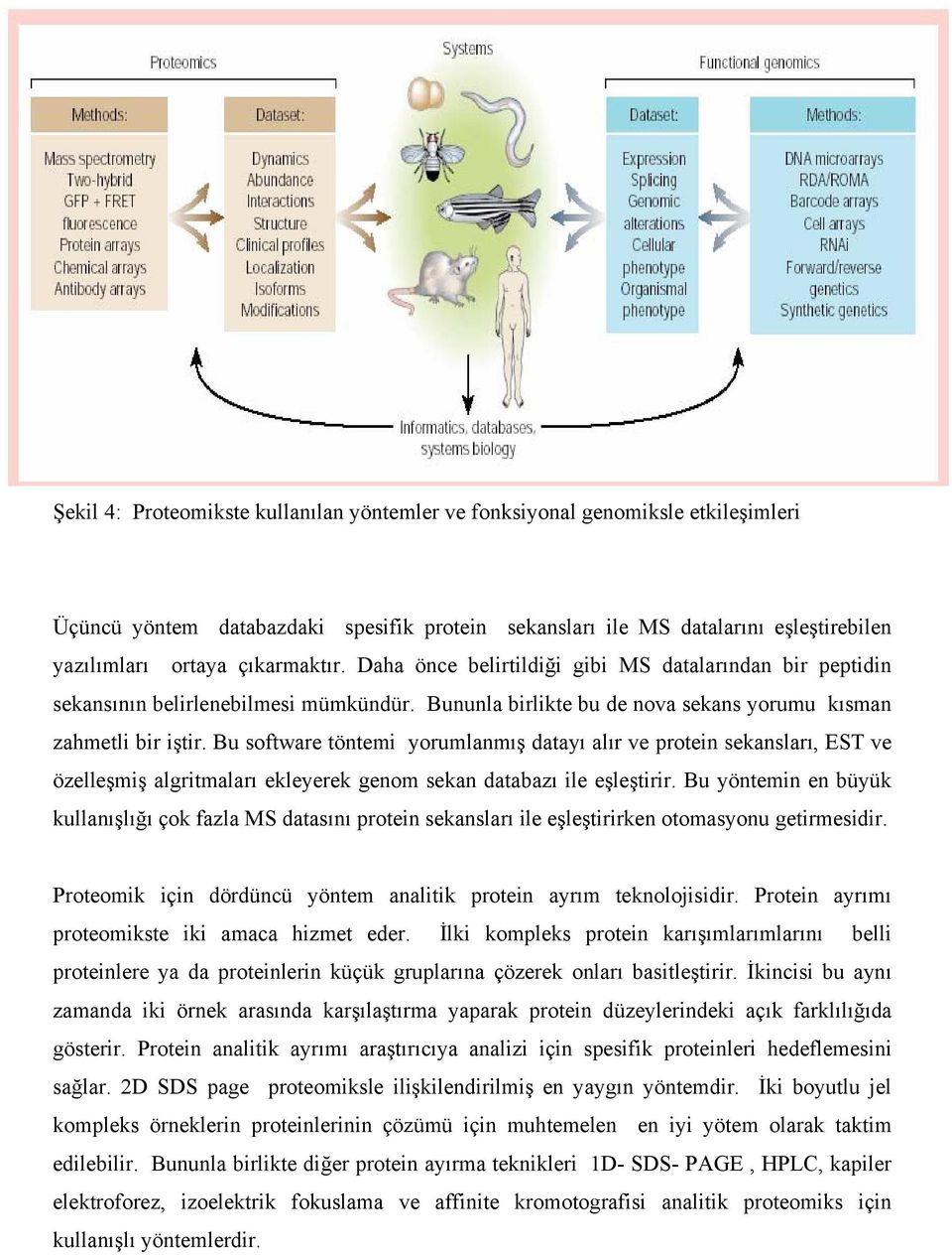 Bu software töntemi yorumlanmış datayı alır ve protein sekansları, EST ve özelleşmiş algritmaları ekleyerek genom sekan databazı ile eşleştirir.