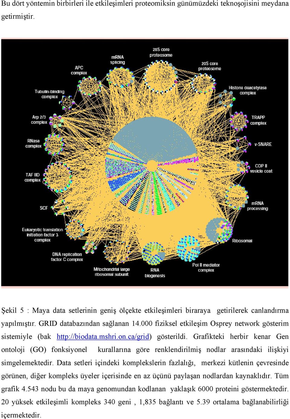 000 fiziksel etkileşim Osprey network gösterim sistemiyle (bak http://biodata.mshri.on.ca/grid) gösterildi.