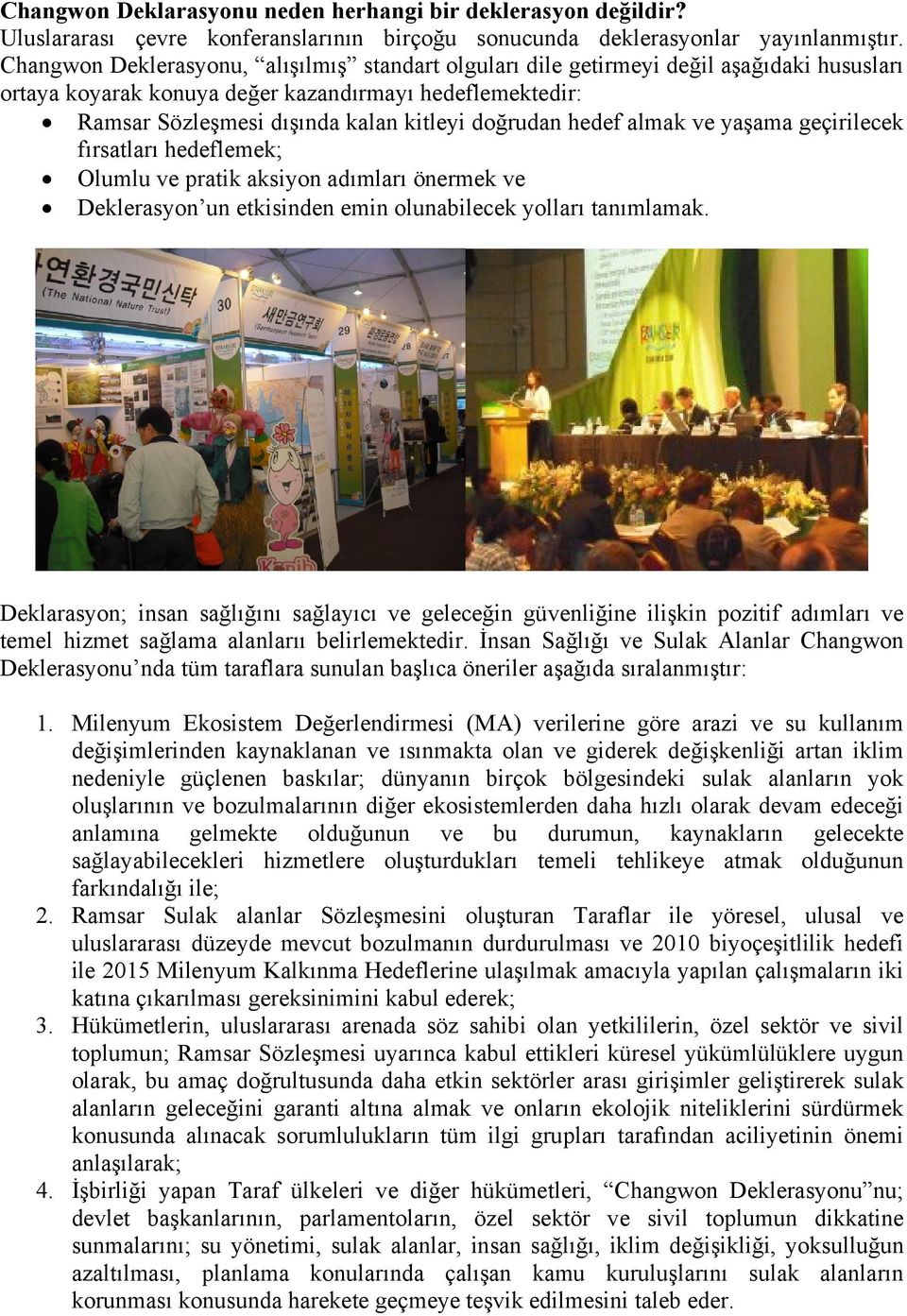 hedef almak ve yaşama geçirilecek fırsatları hedeflemek; Olumlu ve pratik aksiyon adımları önermek ve Deklerasyon un etkisinden emin olunabilecek yolları tanımlamak.