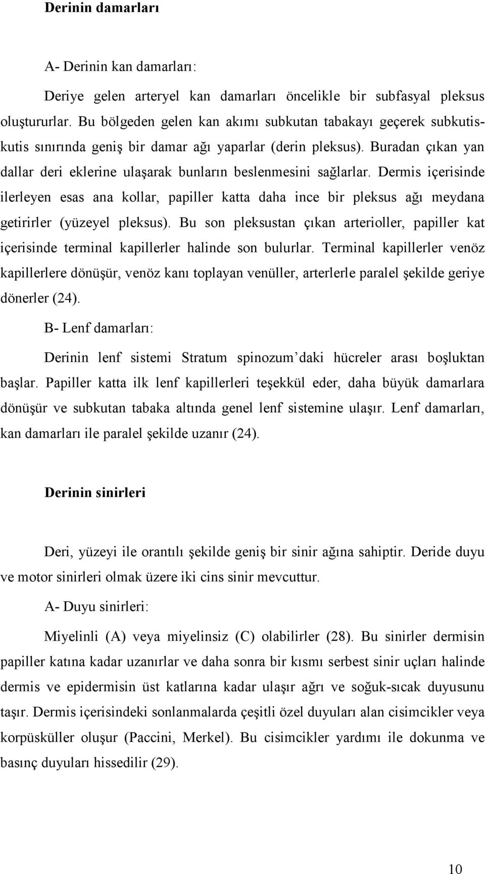 Buradan çıkan yan dallar deri eklerine ulaşarak bunların beslenmesini sağlarlar.