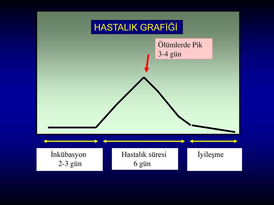 İnkübasyon 2-3 gün