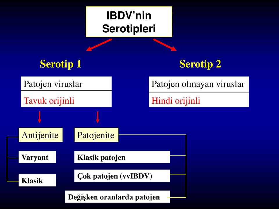 Hindi orijinli Antijenite Varyant Klasik Patojenite