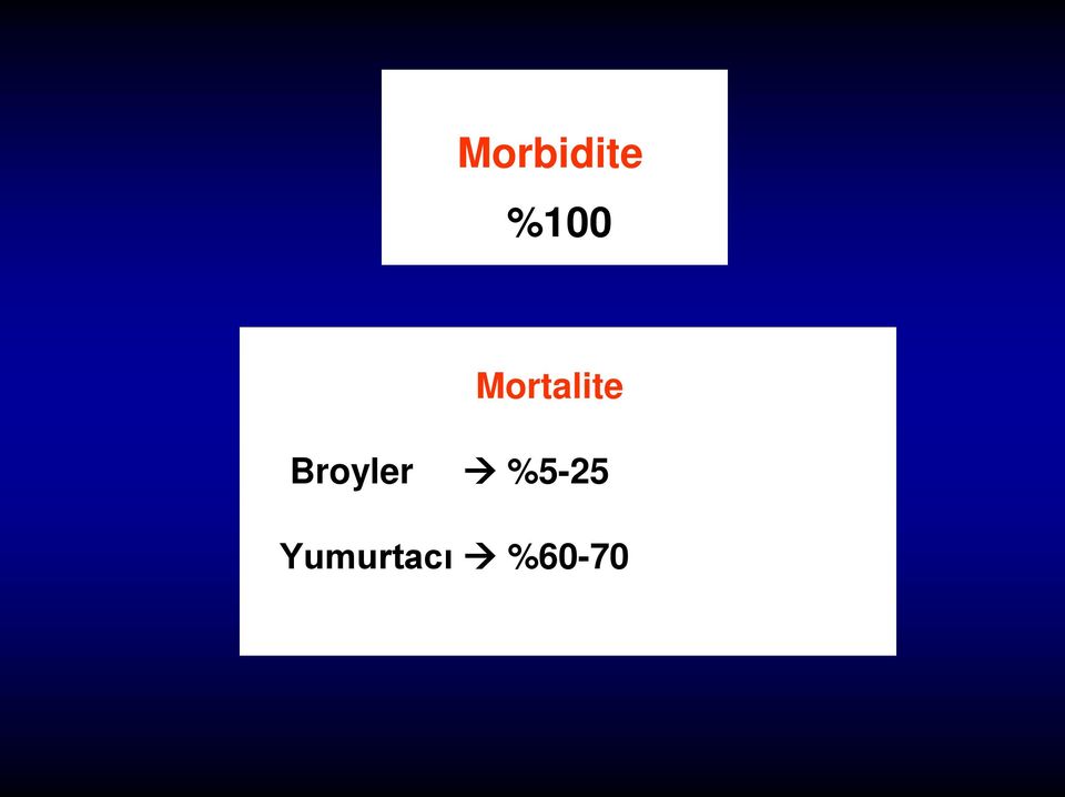 Mortalite