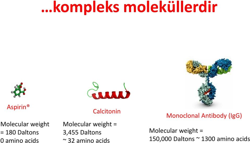 3,455 Daltons ~ 32 amino acids Monoclonal Antibody