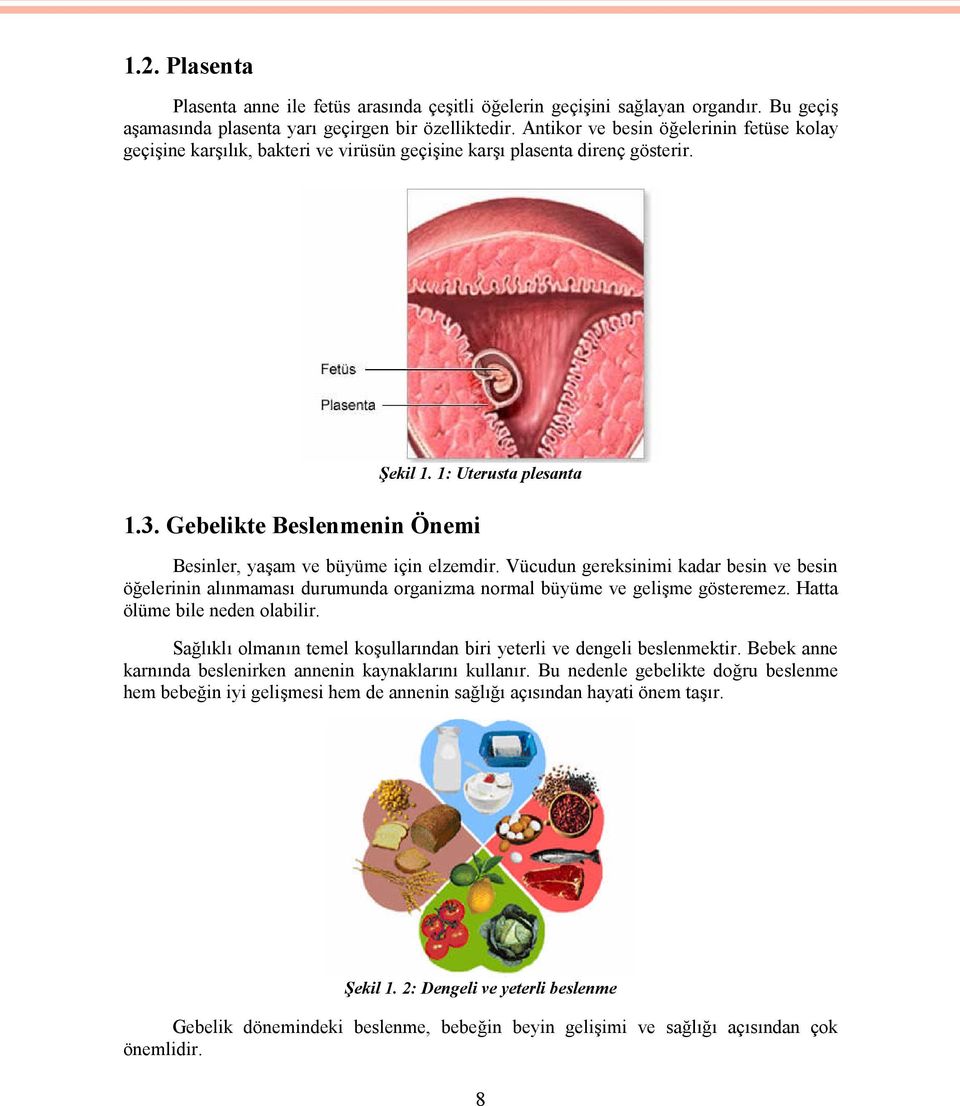 Gebelikte Beslenmenin Önemi Besinler, yaşam ve büyüme için elzemdir. Vücudun gereksinimi kadar besin ve besin öğelerinin alınmaması durumunda organizma normal büyüme ve gelişme gösteremez.