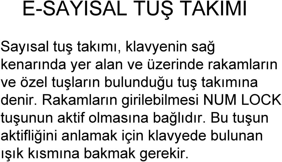 denir. Rakamların girilebilmesi NUM LOCK tuşunun aktif olmasına bağlıdır.