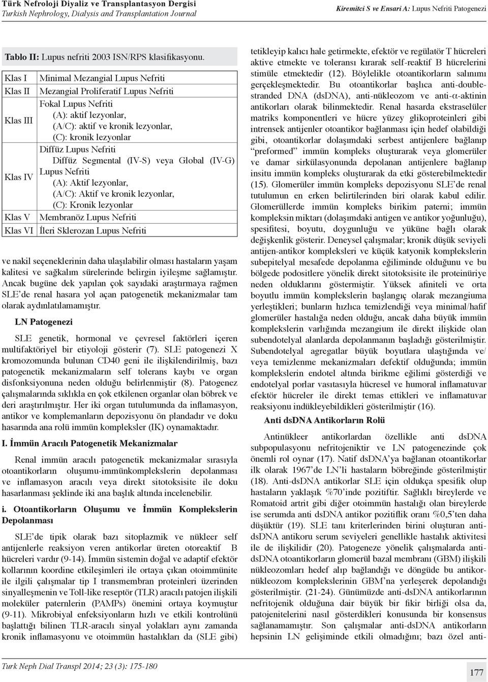 Lupus Nefriti Diffüz Segmental (IV-S) veya Global (IV-G) Lupus Nefriti Klas IV (A): Aktif lezyonlar, (A/C): Aktif ve kronik lezyonlar, (C): Kronik lezyonlar Klas V Membranöz Lupus Nefriti Klas VI