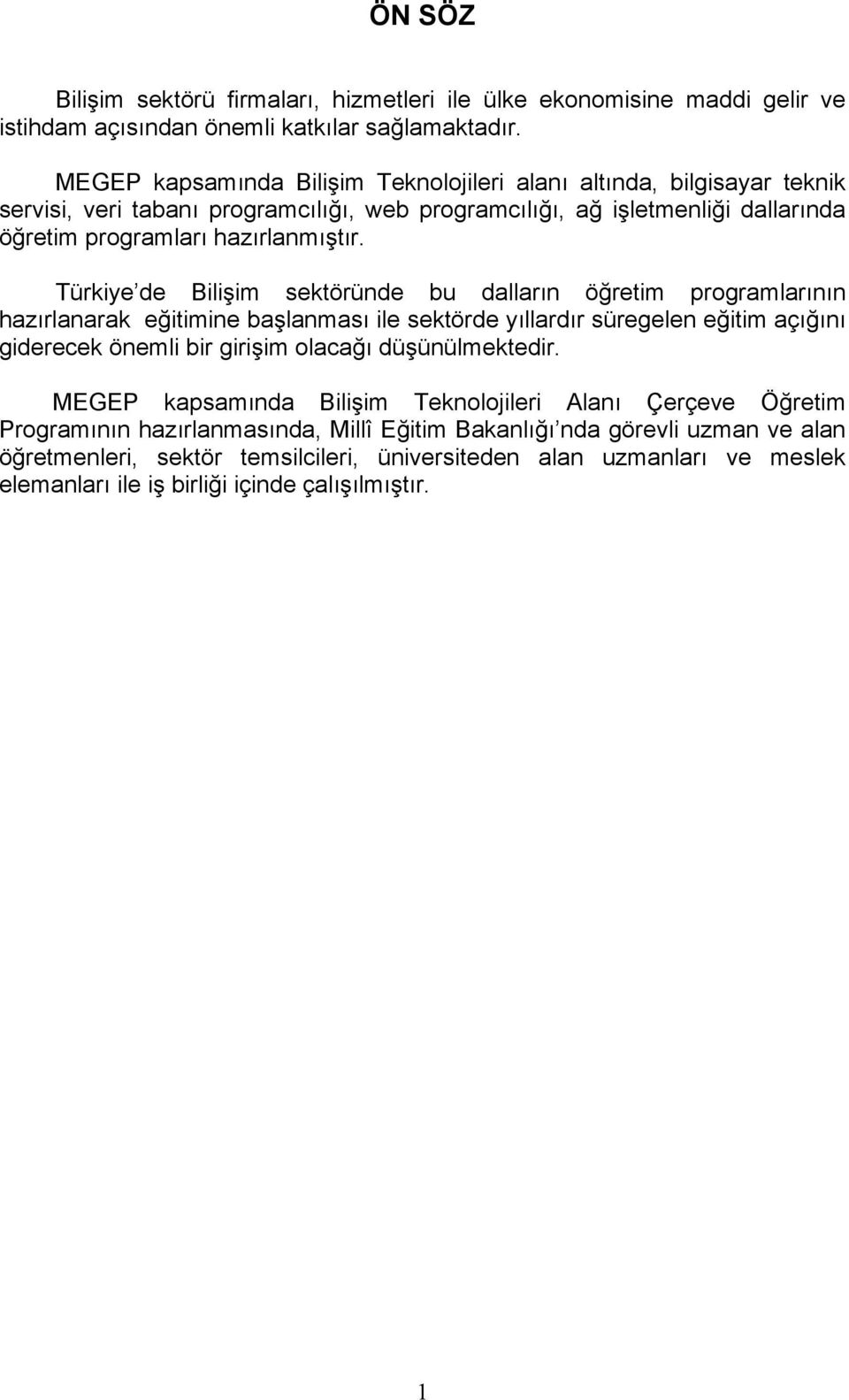 Türkiye de Bilişim sektöründe bu dalların öğretim programlarının hazırlanarak eğitimine başlanması ile sektörde yıllardır süregelen eğitim açığını giderecek önemli bir girişim olacağı