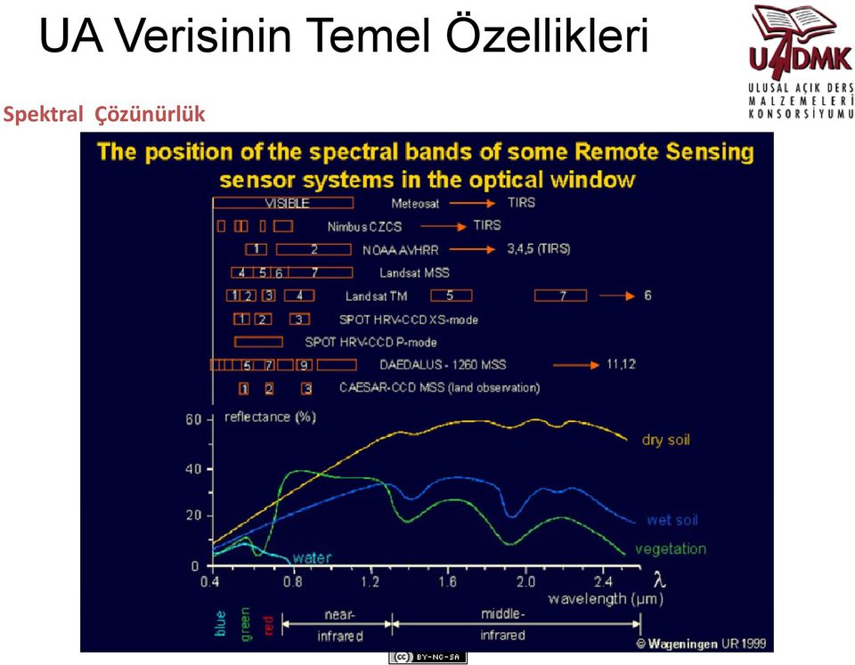 Özellikleri