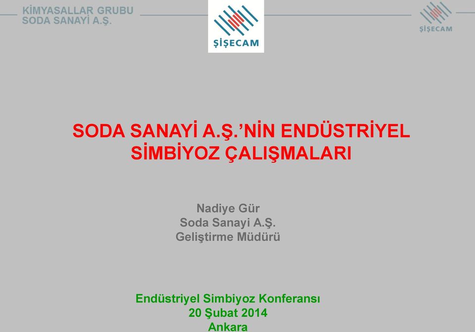 Nadiye Gür Soda Sanayi A.Ş.