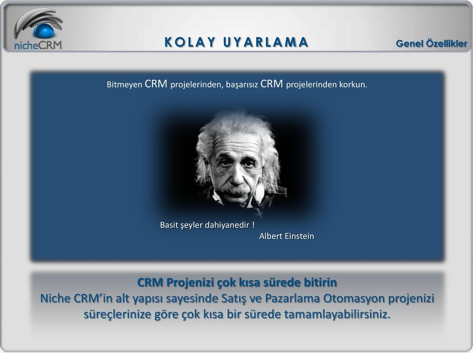 Albert Einstein CRM Projenizi çok kısa sürede bitirin Niche CRM in alt