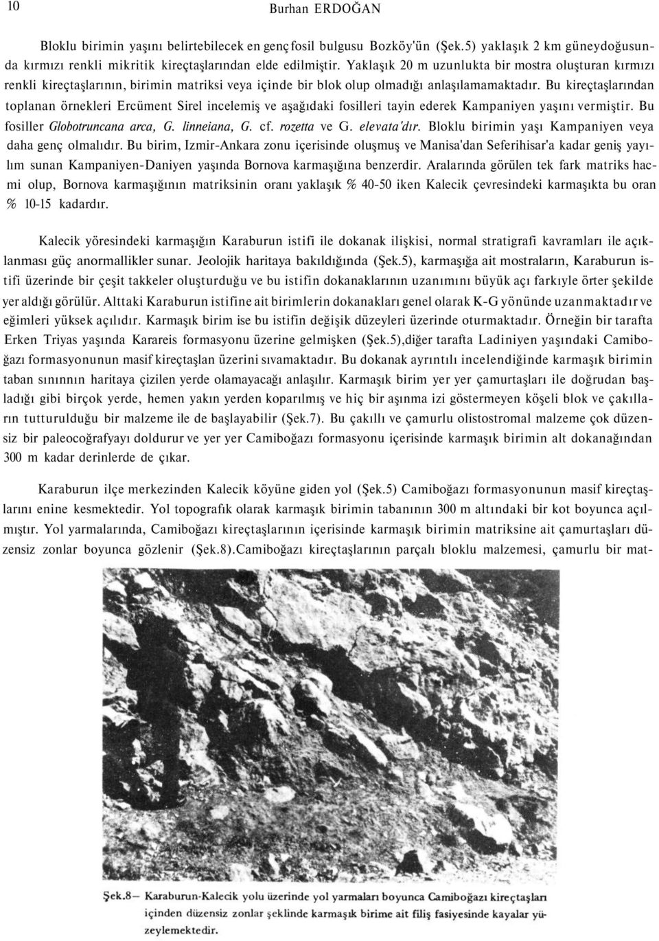 Bu kireçtaşlarından toplanan örnekleri Ercüment Sirel incelemiş ve aşağıdaki fosilleri tayin ederek Kampaniyen yaşını vermiştir. Bu fosiller Globotruncana arca, G. linneiana, G. cf. rozetta ve G.