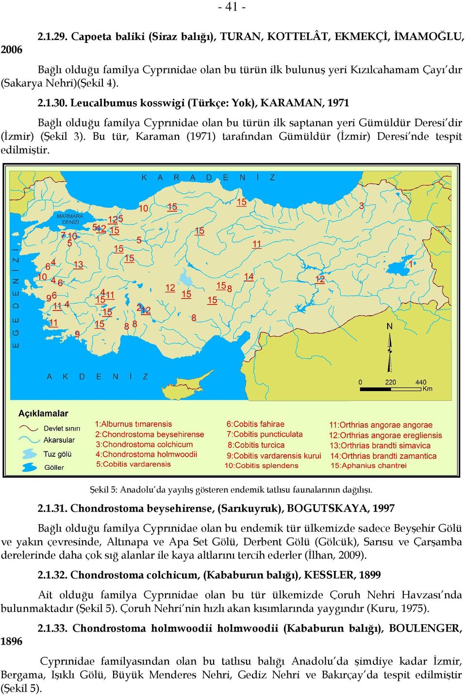 Bu tür, Karaman (1971) tarafından Gümüldür (İzmir) Deresi nde tespit edilmiştir. Şekil 5: Anadolu da yayılış gösteren endemik tatlısu faunalarının dağılışı. 2.1.31.