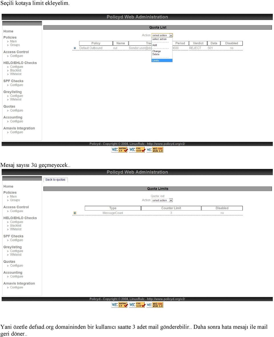 org domaininden bir kullanıcı saatte 3 adet