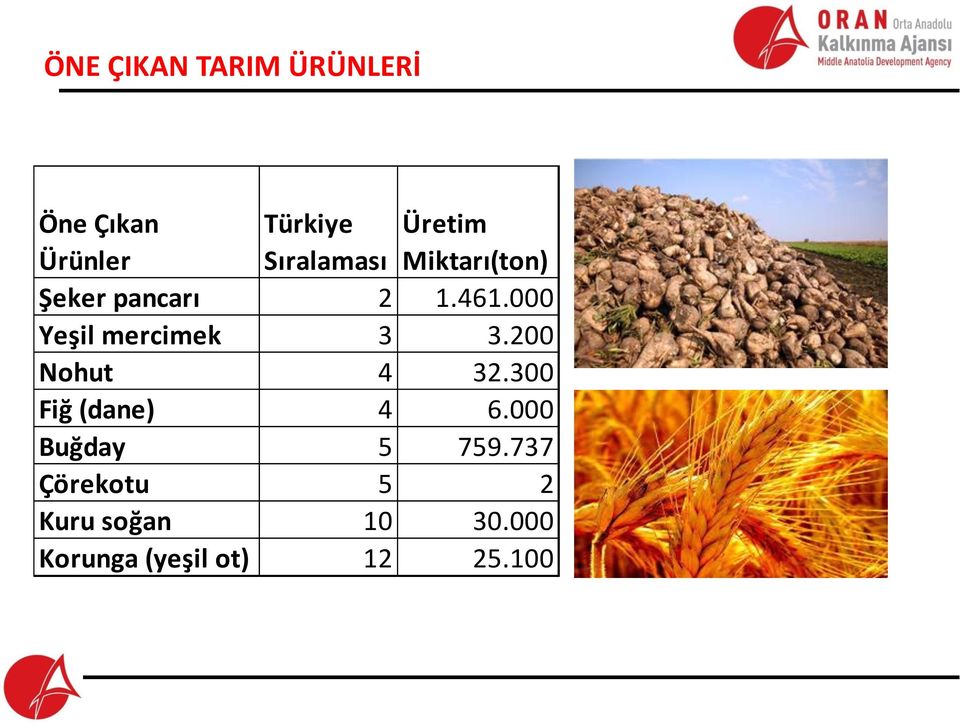 000 Yeşil mercimek 3 3.200 Nohut 4 32.300 Fiğ (dane) 4 6.