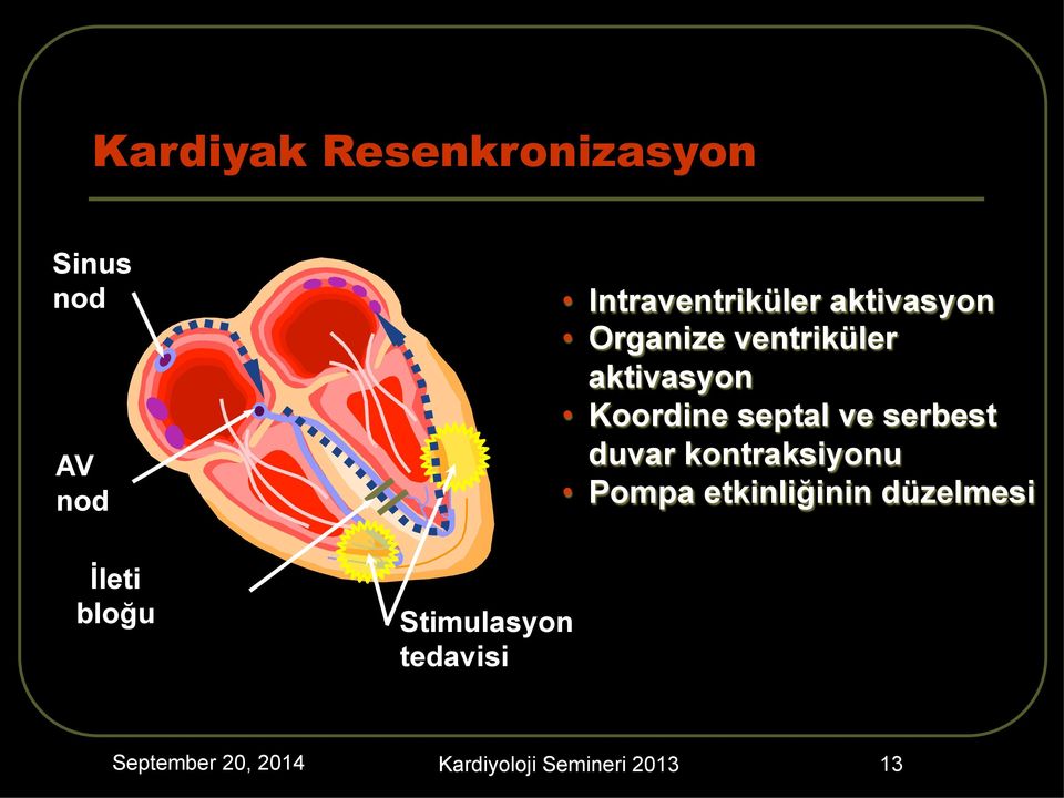 ventriküler aktivasyon Koordine septal ve serbest duvar