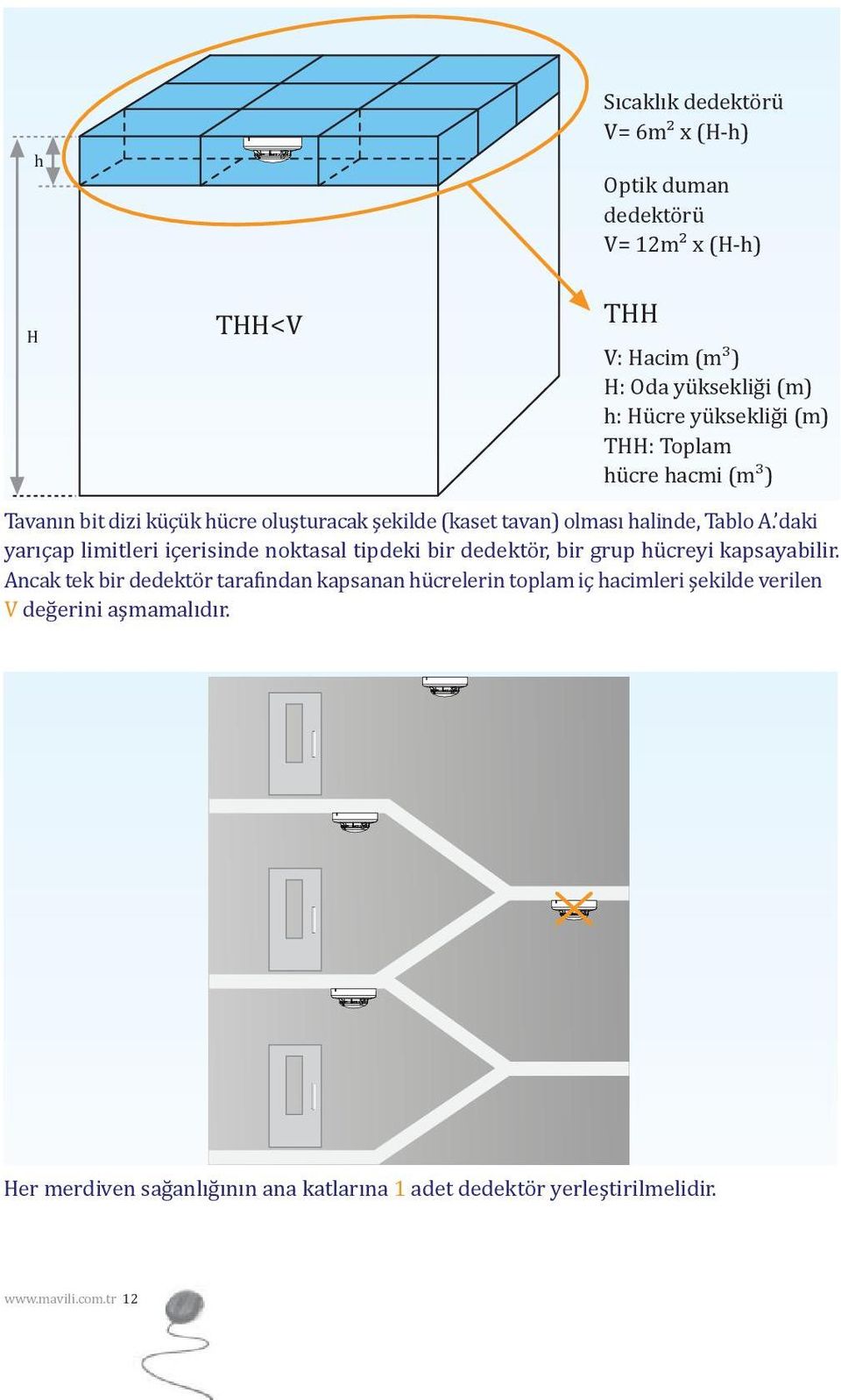 daki yarıçap limitleri içerisinde noktasal tipdeki bir dedektör, bir grup hücreyi kapsayabilir.