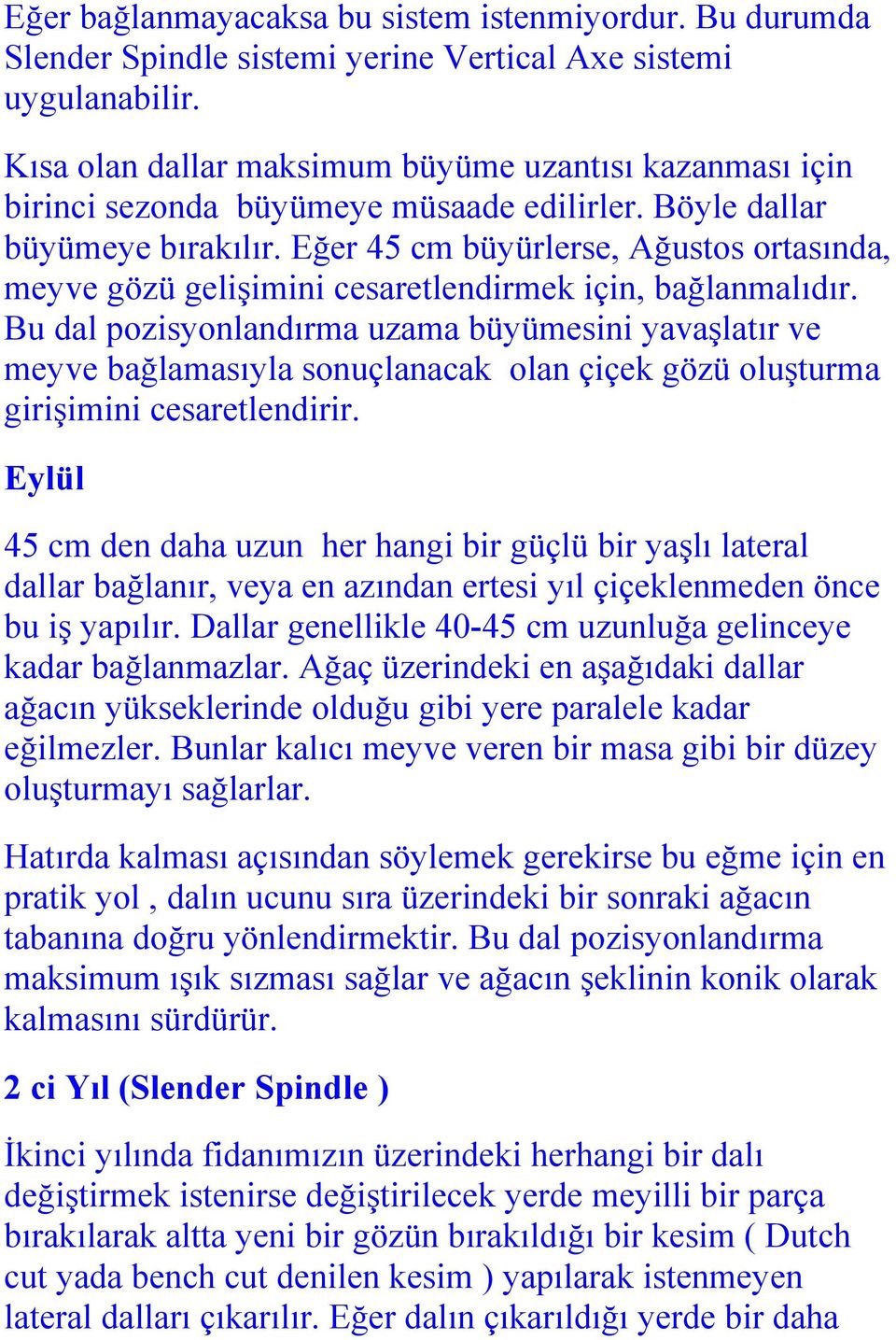 Eğer 45 cm büyürlerse, Ağustos ortasında, meyve gözü gelişimini cesaretlendirmek için, bağlanmalıdır.