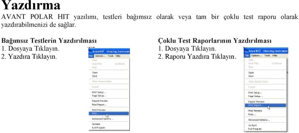 Bağımsız Testlerin Yazdırılması Çoklu Test Raporlarının Yazdırılması 1.