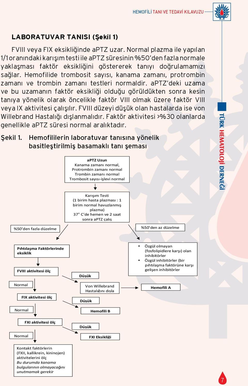 Hemofilide trombosit sayısı, kanama zamanı, protrombin zamanı ve trombin zamanı testleri normaldir.