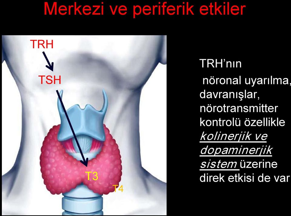 nörotransmitter kontrolü özellikle