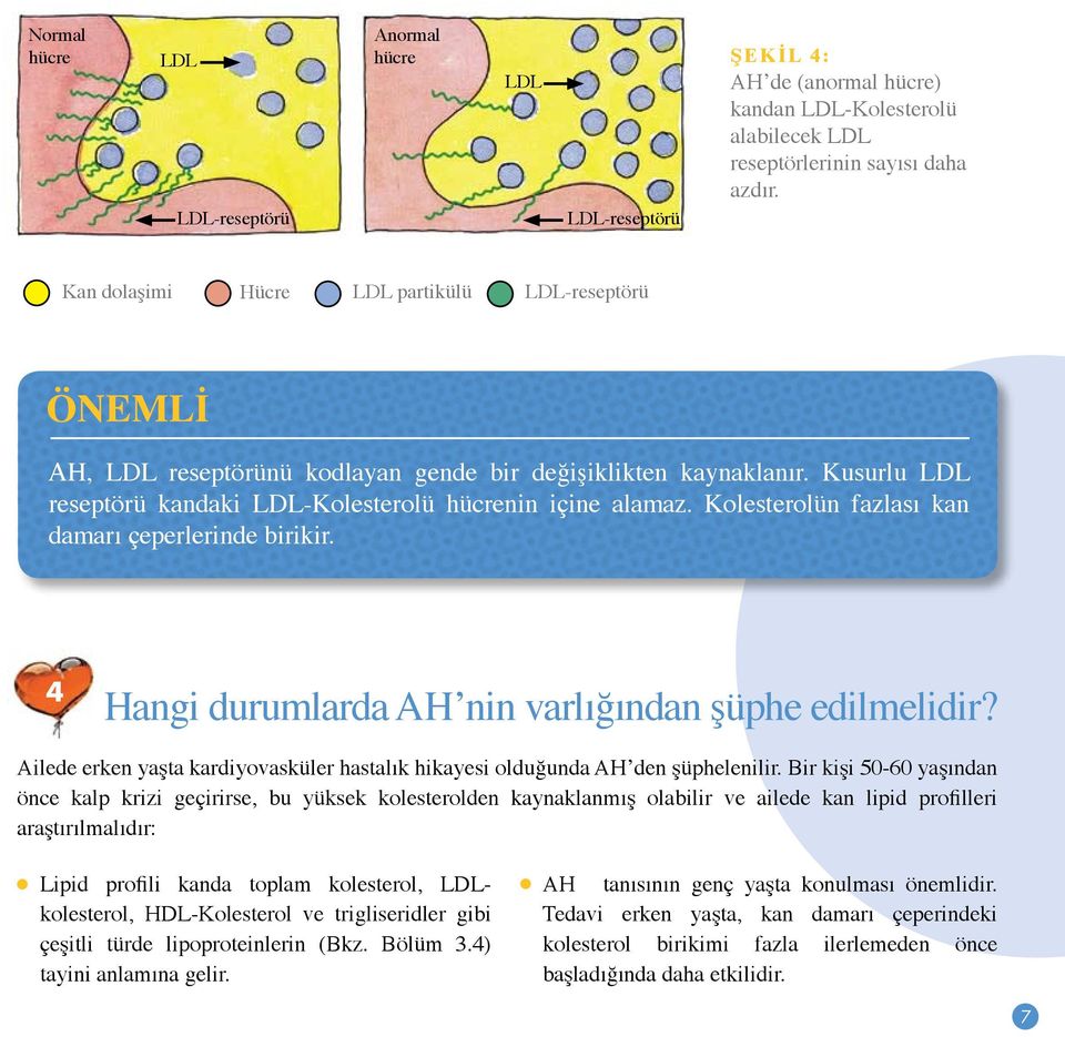 Kolesterolün fazlası kan damarı çeperlerinde birikir. 4 Hangi durumlarda AH nin varlığından şüphe edilmelidir? Ailede erken yaşta kardiyovasküler hastalık hikayesi olduğunda AH den şüphelenilir.