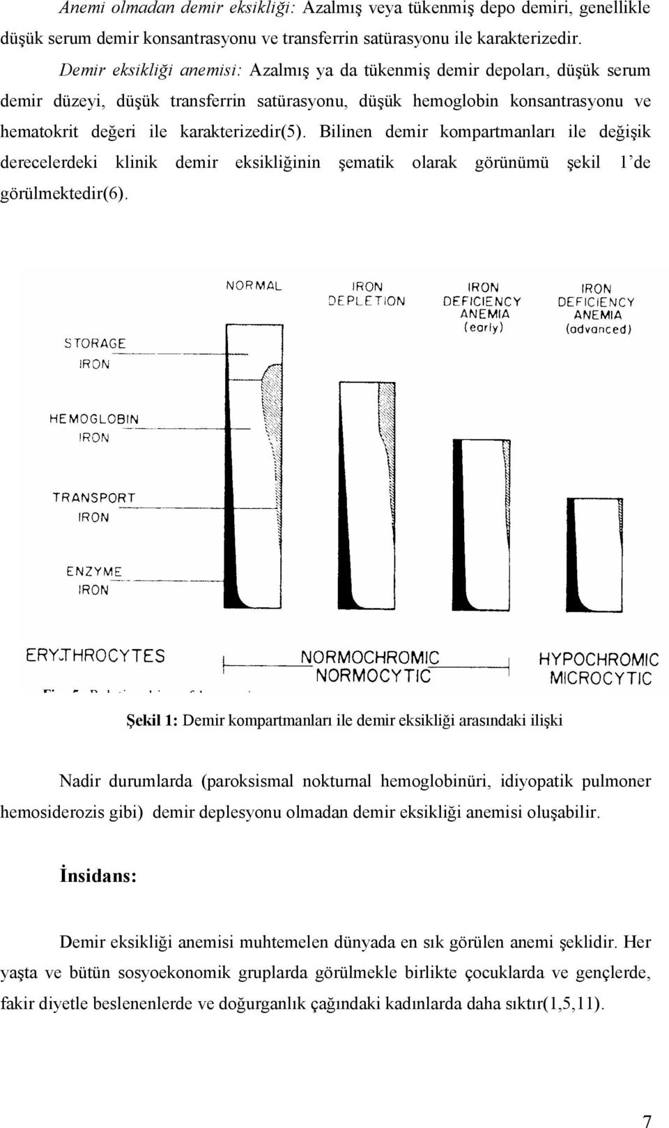 Bilinen demir kompartmanları ile değişik derecelerdeki klinik demir eksikliğinin şematik olarak görünümü şekil 1 de görülmektedir(6).
