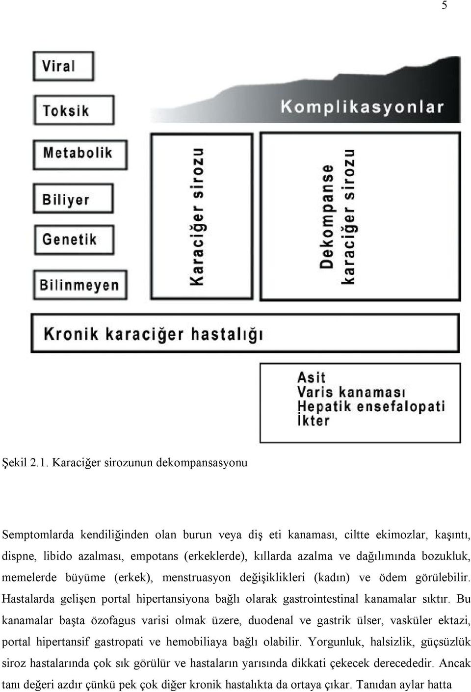 dağılımında bozukluk, memelerde büyüme (erkek), menstruasyon değişiklikleri (kadın) ve ödem görülebilir. Hastalarda gelişen portal hipertansiyona bağlı olarak gastrointestinal kanamalar sıktır.