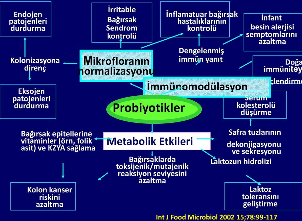 düşürme Doğa immünitey güçlendirme Bağırsak epitellerine vitaminler (örn, folik asit) ve KZYA sağlama Kolon kanser riskini azaltma Metabolik Etkileri Bağırsaklarda