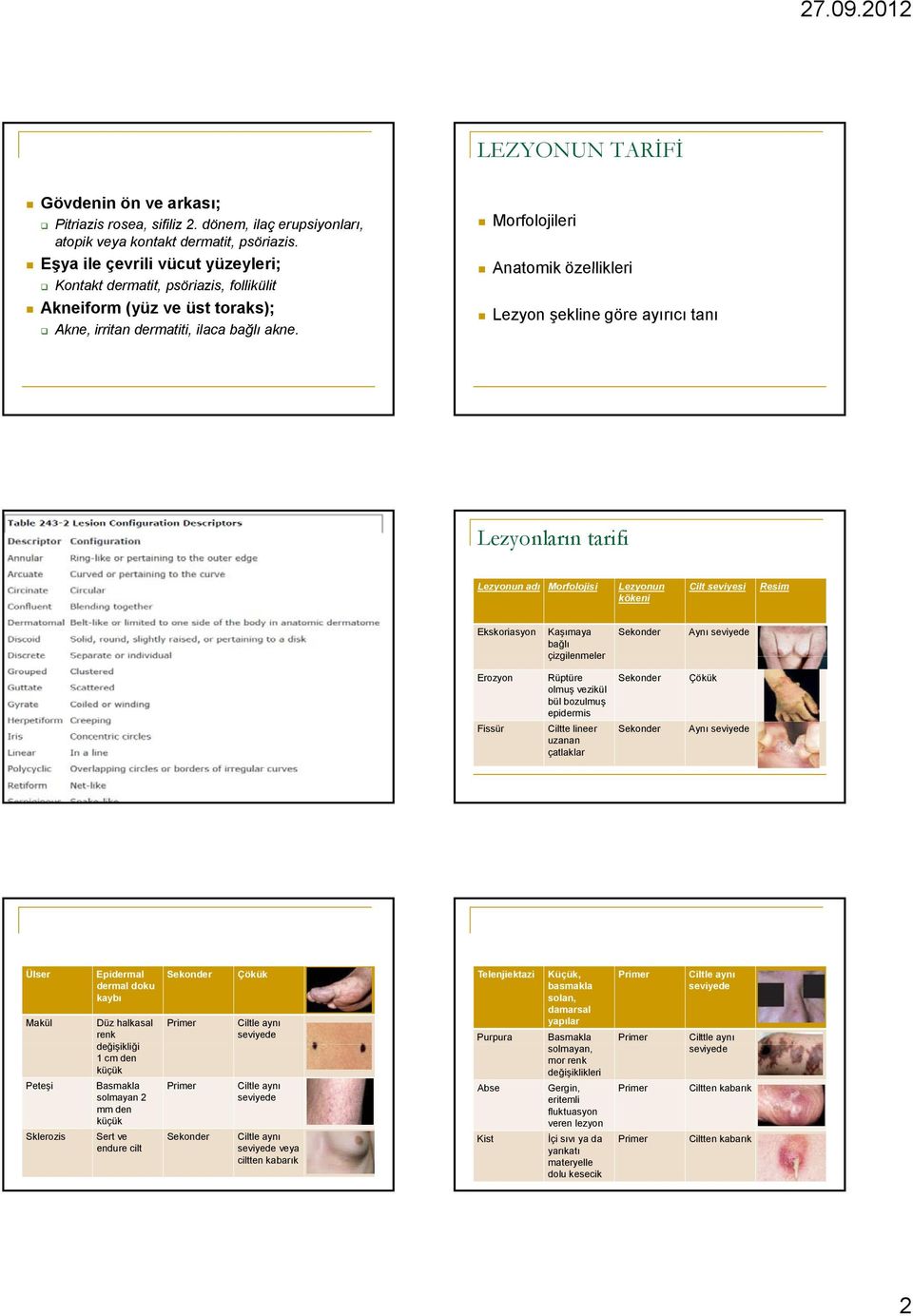 Morfolojileri Anatomik özellikleri Lezyon şekline göre ayırıcı tanı Lezyonların tarifi Lezyonun adı Morfolojisi Lezyonun kökeni Cilt seviyesi Resim Ekskoriasyon Kaşımaya bağlı çizgilenmeler Sekonder