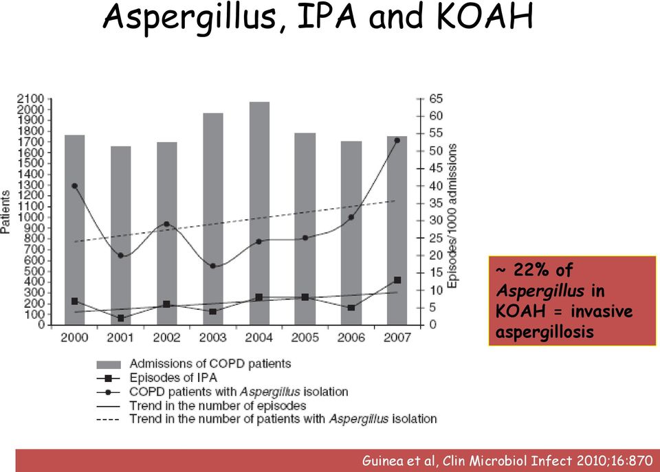 invasive aspergillosis Guinea