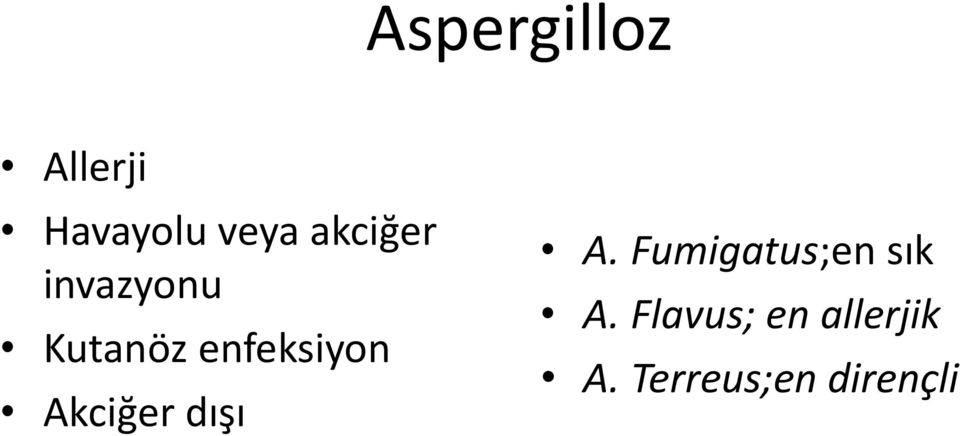 Akciğer dışı A. Fumigatus;en sık A.