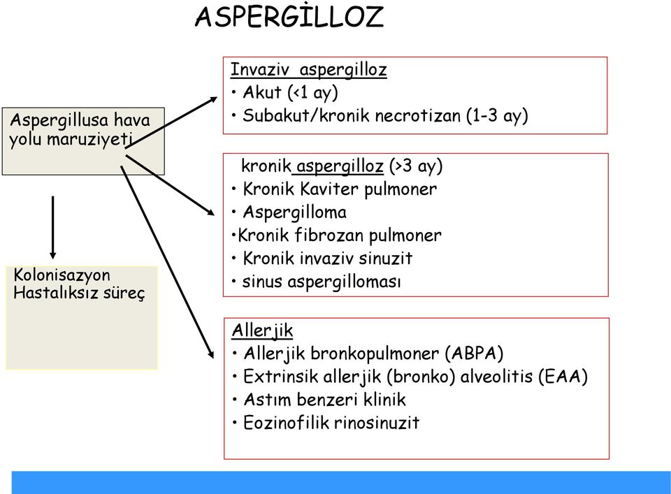 Aspergilloma Kronik fibrozan pulmoner Kronik invaziv sinuzit sinus aspergilloması Allerjik Allerjik