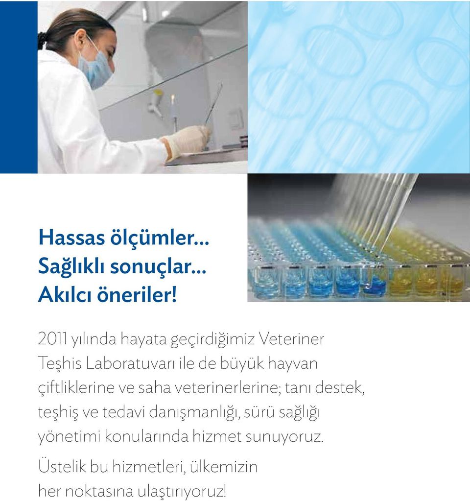 çiftliklerine ve saha veterinerlerine; tanı destek, teşhiş ve tedavi danışmanlığı,