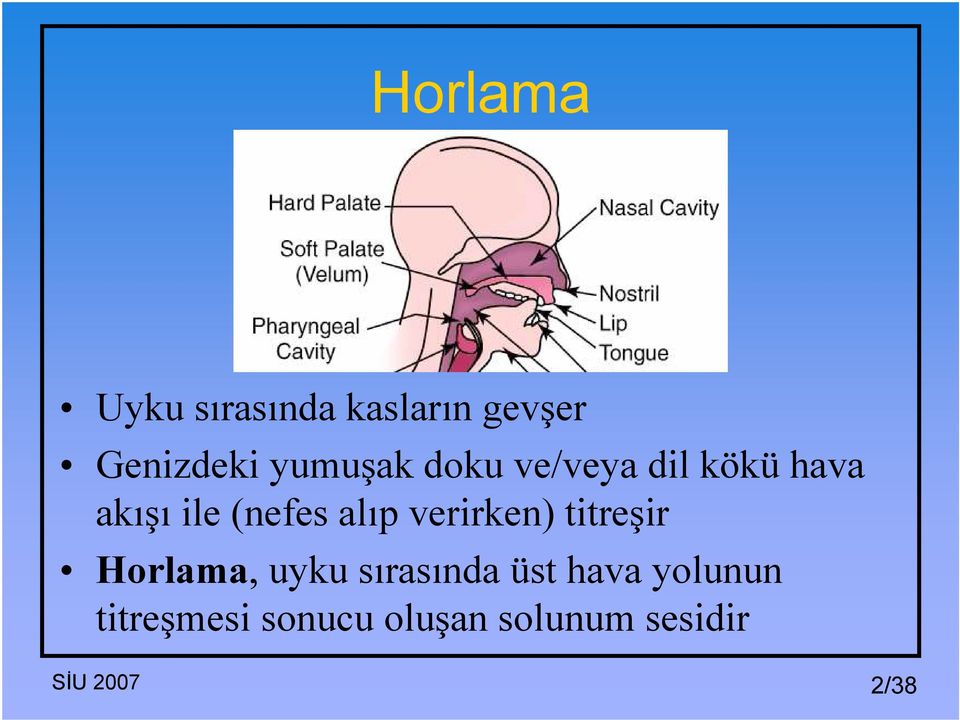 alıp verirken) titreşir Horlama, uyku sırasında üst