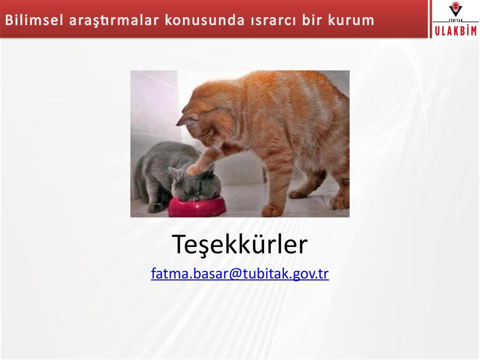 kurum Teşekkürler