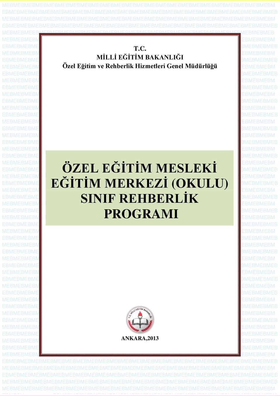 MESLEKİ EĞİTİM MERKEZİ (OKULU) SINIF REHBERLİK PROGRAMI ANKARA,2013 ÖZEL EĞİTİM MESLEKİ