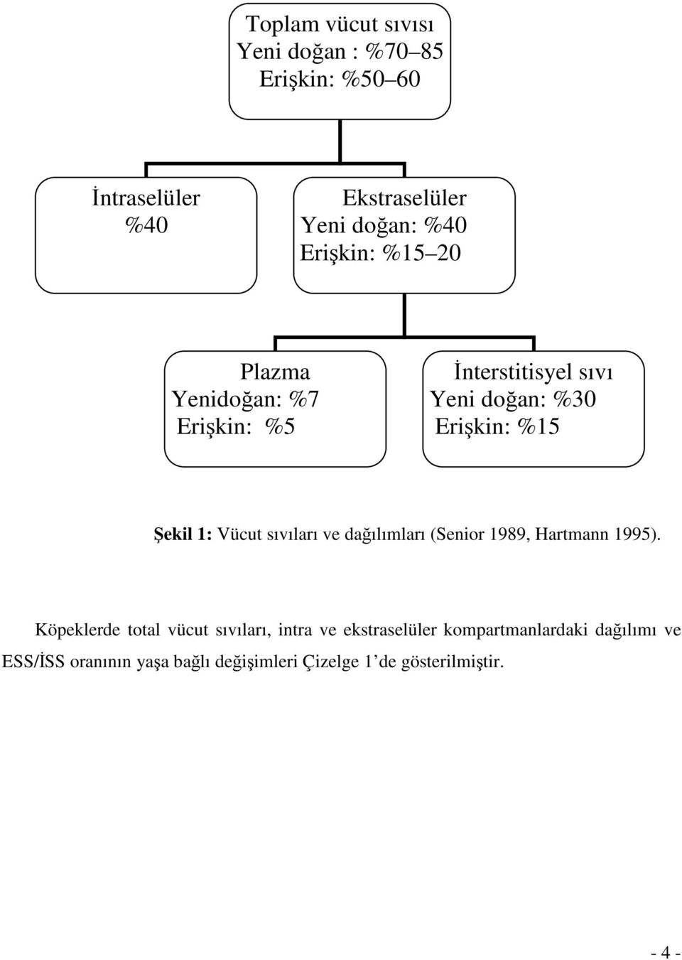 Vücut sıvıları ve dağılımları (Senior 1989, Hartmann 1995).