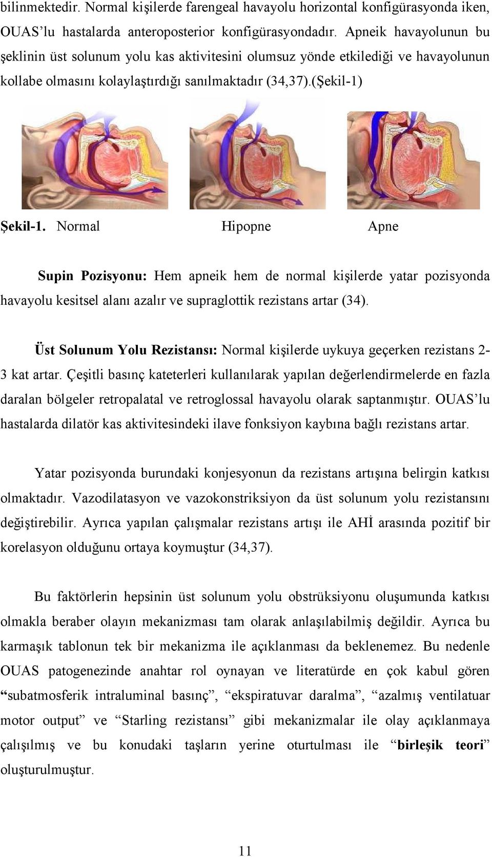 Normal Hipopne Apne Supin Pozisyonu: Hem apneik hem de normal kişilerde yatar pozisyonda havayolu kesitsel alanı azalır ve supraglottik rezistans artar (34).