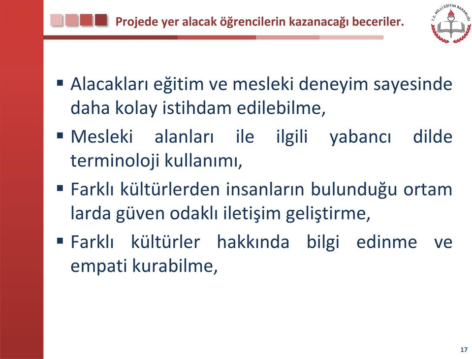 alanları ile ilgili yabancı dilde terminoloji kullanımı, Farklı kültürlerden