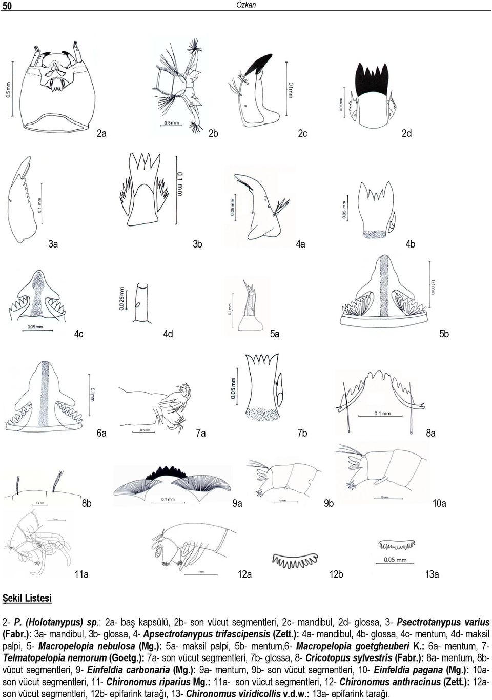 ): 4a- mandibul, 4b- glossa, 4c- mentum, 4d- maksil palpi, 5- Macropelopia nebulosa (Mg.): 5a- maksil palpi, 5b- mentum,6- Macropelopia goetgheuberi K.: 6a- mentum, 7- Telmatopelopia nemorum (Goetg.